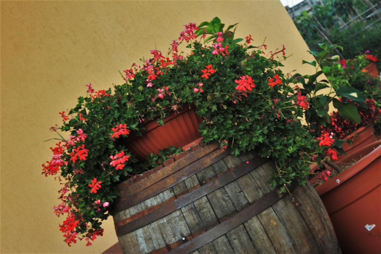 Bed and Breakfast Mansarda Fiorita Abatemarco Exteriér fotografie