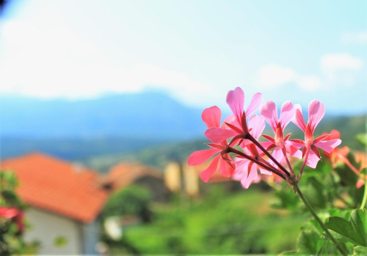 Bed and Breakfast Mansarda Fiorita Abatemarco Exteriér fotografie